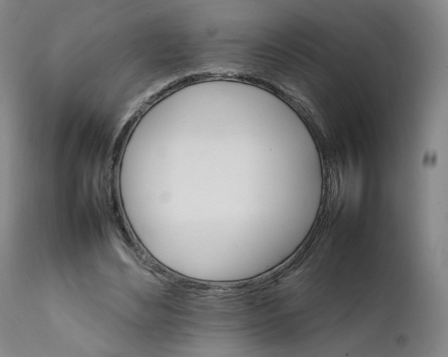 X0000111230492200907231508