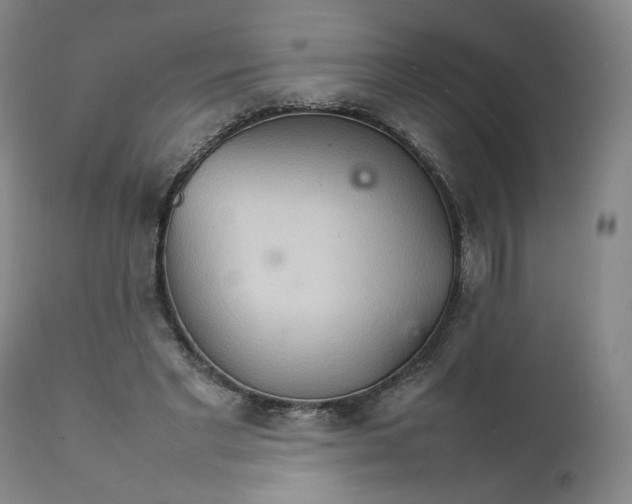 X0000111230493200907231508