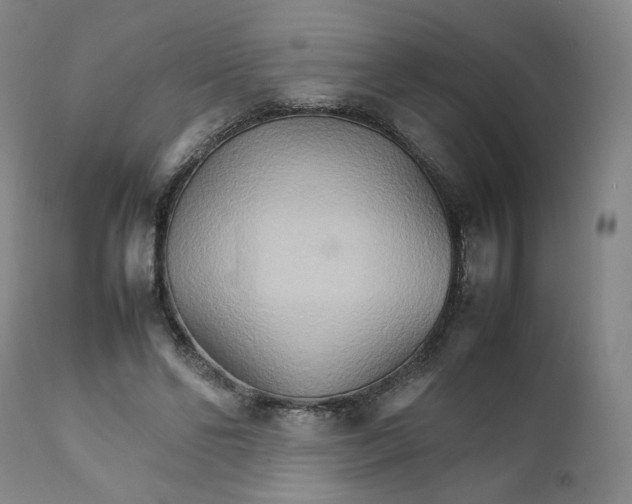 X0000111230494200907231508