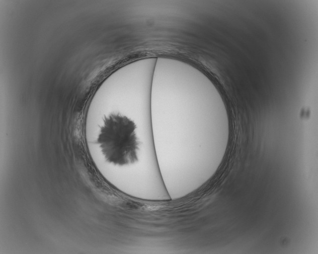 X0000111230495200907231508