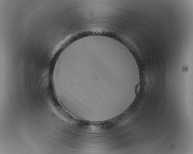 X0000111230496200907231508