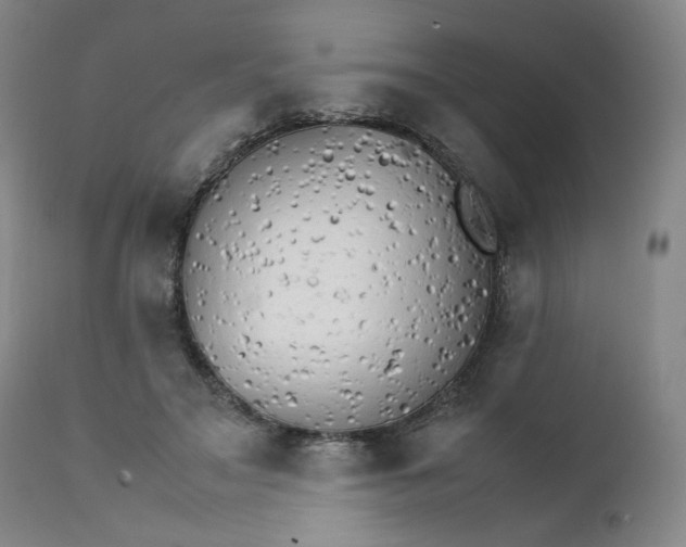 X0000111230499200907231508