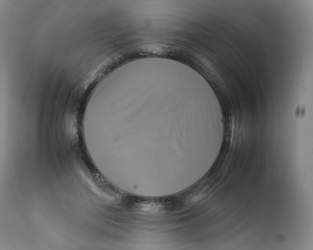 X0000111230500200907231508