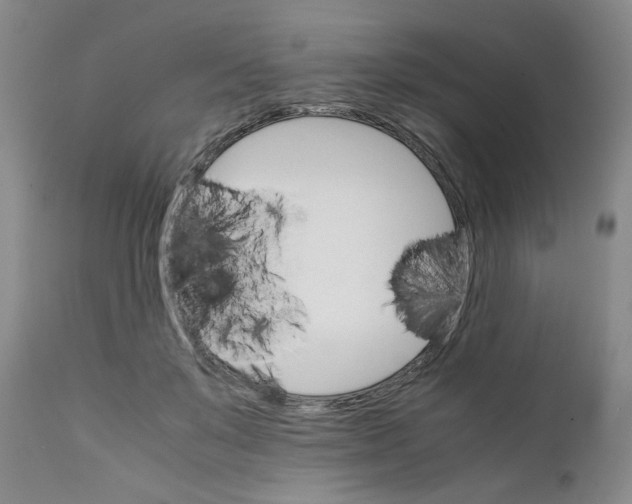 X0000111230503200907231508