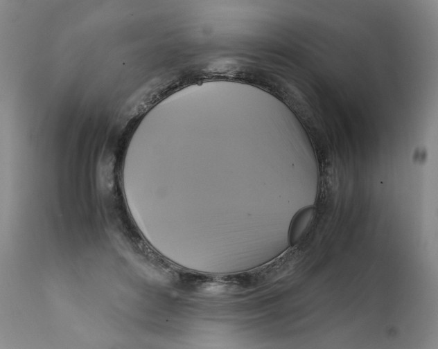 X0000111230504200907231508