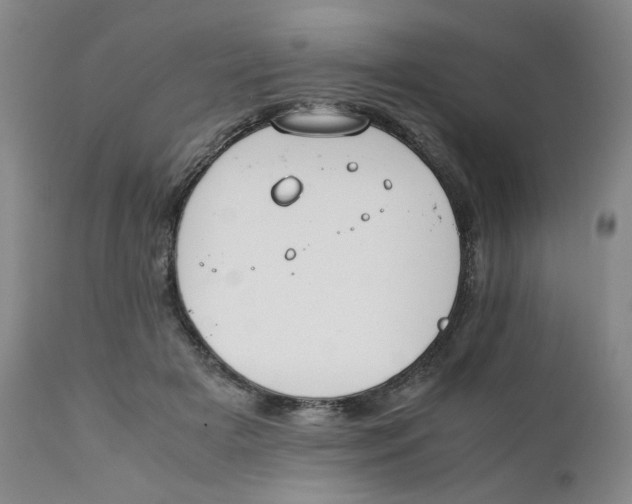 X0000111230505200907231508