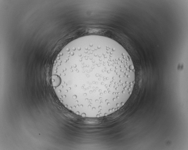 X0000111230510200907231508