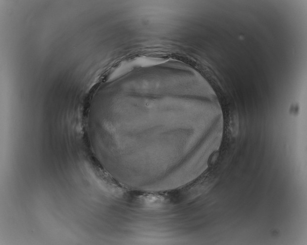 X0000111230512200907231507