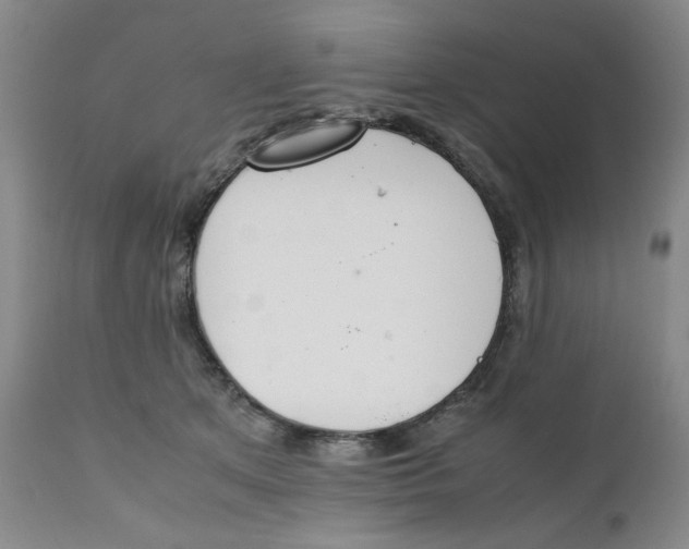 X0000111230513200907231507