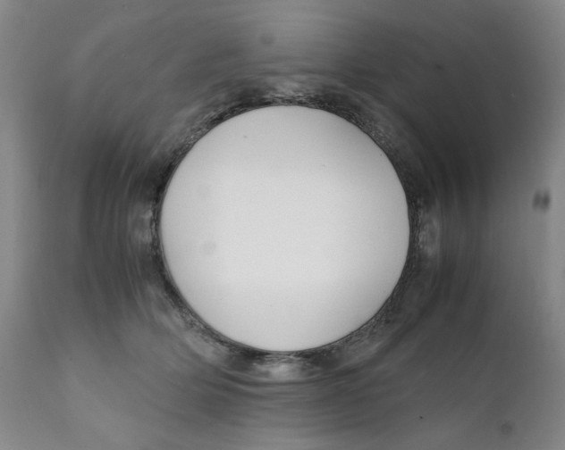 X0000111230514200907231507