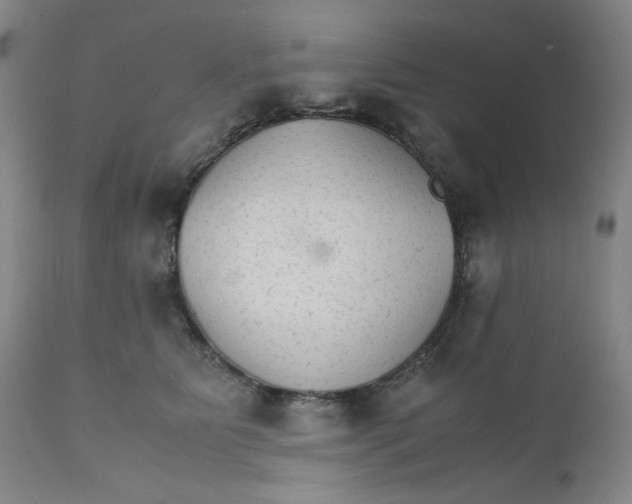 X0000111230515200907231507