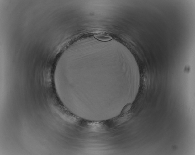 X0000111230516200907231507