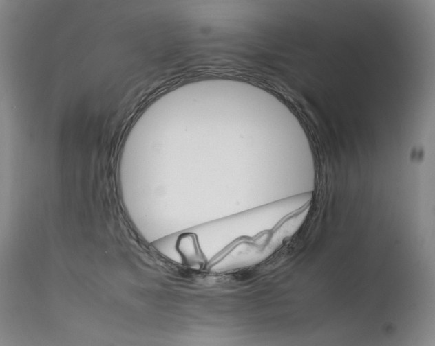 X0000111230517200907231507