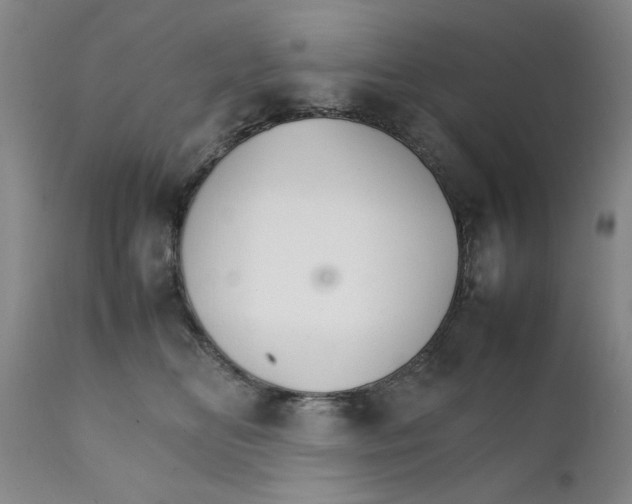 X0000111230518200907231507