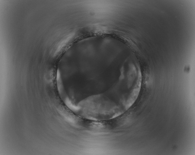 X0000111230519200907231507