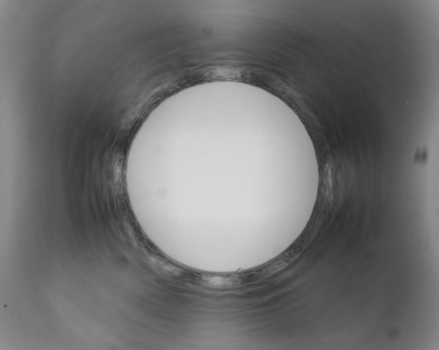 X0000111230522200907231507