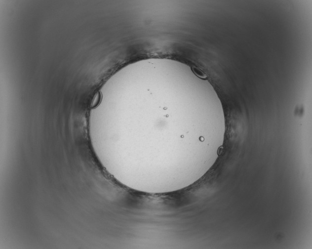 X0000111230523200907231507