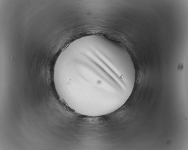 X0000111230524200907231507