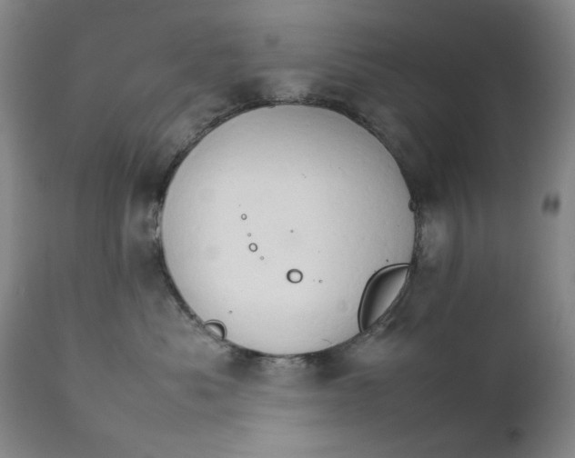 X0000111230525200907231507