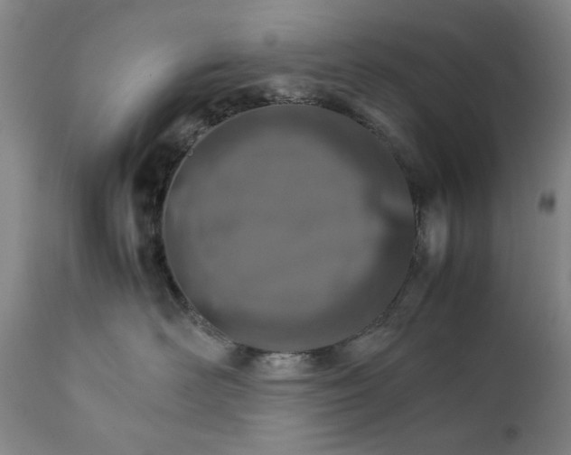 X0000111230526200907231507