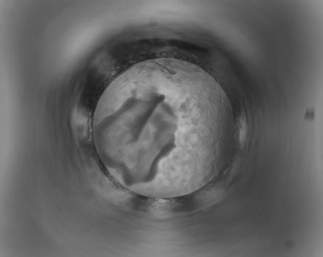 X0000111230527200907231507