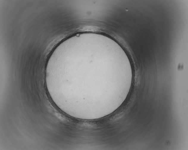 X0000111230529200907231506