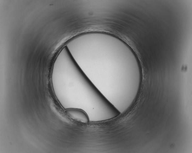 X0000111230530200907231506