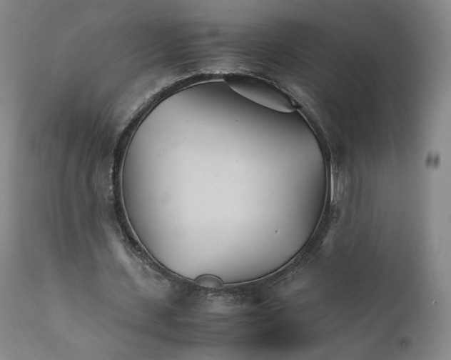 X0000111230531200907231506