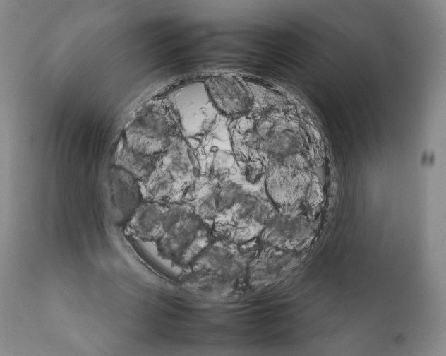 X0000111230533200907231506