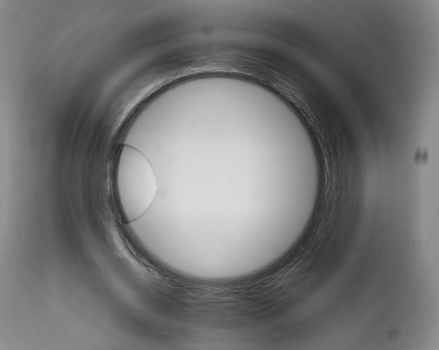 X0000111230534200907231506