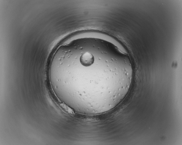 X0000111230536200907231506