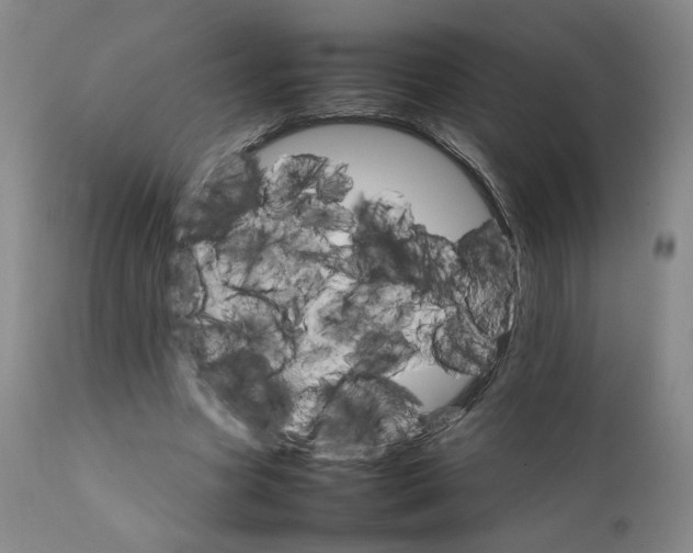 X0000111230537200907231506