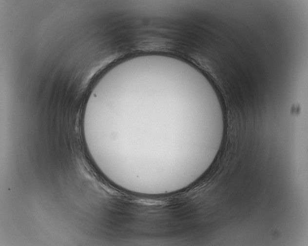 X0000111230539200907231507