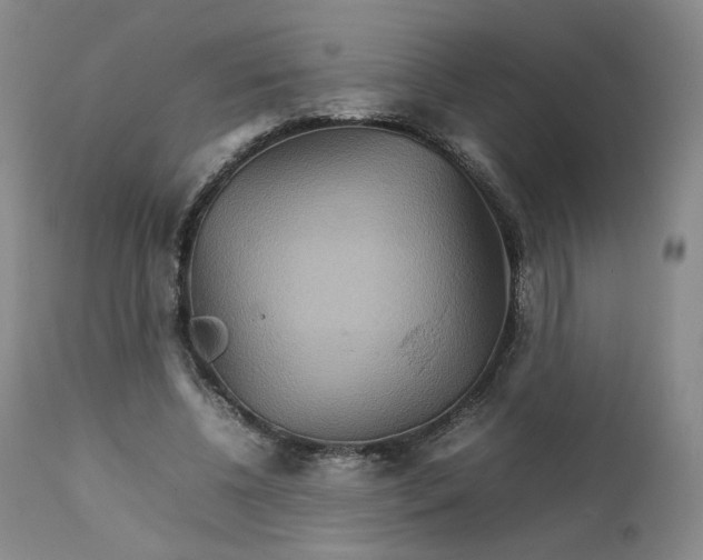 X0000111230540200907231507