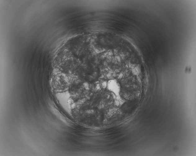 X0000111230541200907231507