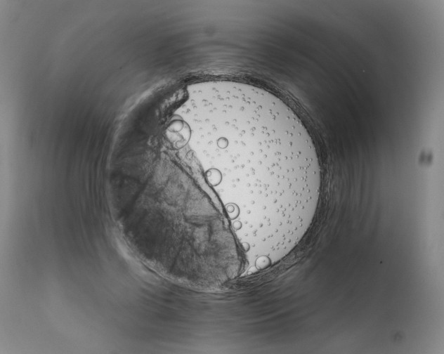 X0000111230542200907231507