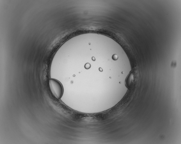 X0000111230544200907231507