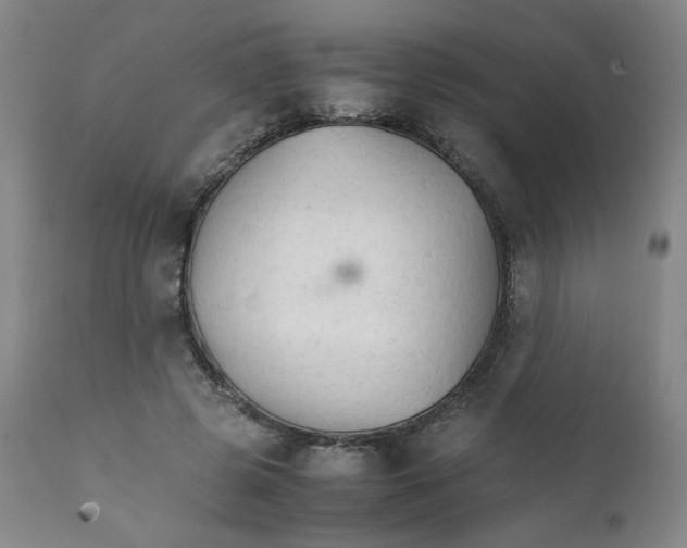 X0000111230545200907231507