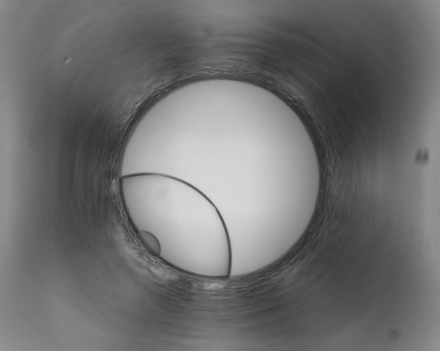 X0000111230546200907231507