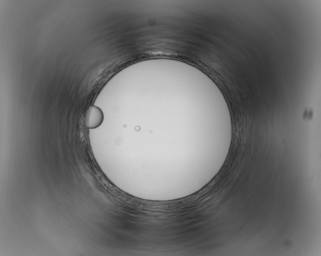 X0000111230547200907231507