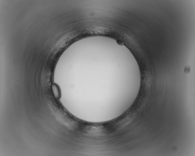 X0000111230548200907231507