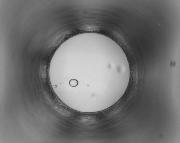 X0000111230549200907231507