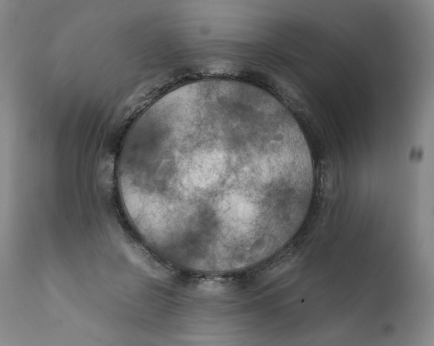 X0000111230550200907231507