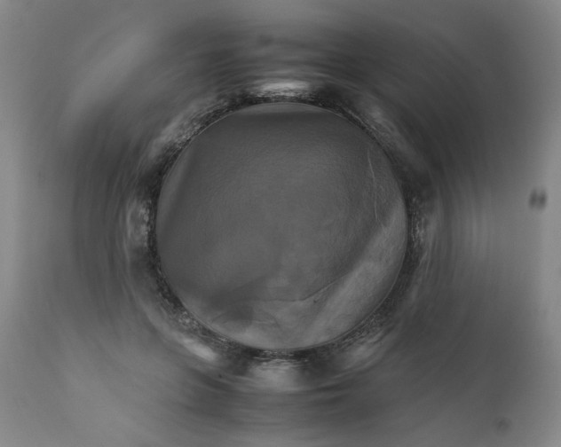 X0000111230551200907231507