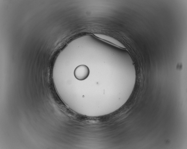 X0000111230552200907231507