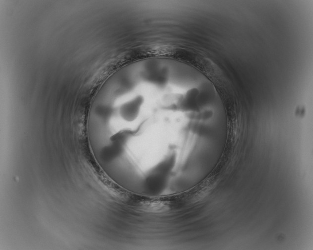 X0000111230553200907231507