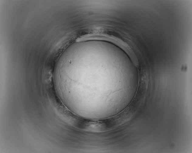 X0000111230555200907231507