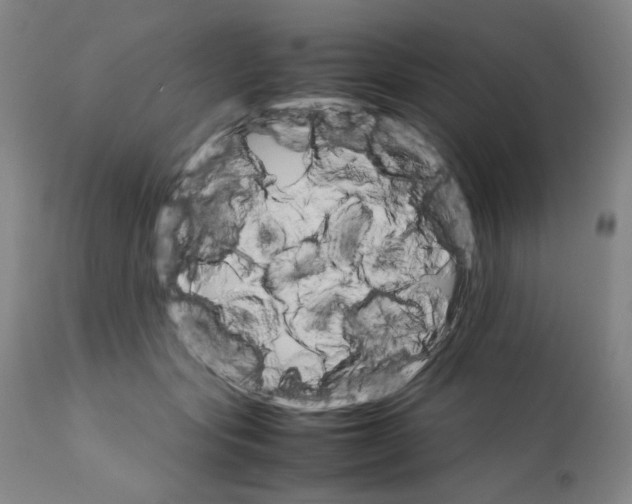 X0000111230557200907231507