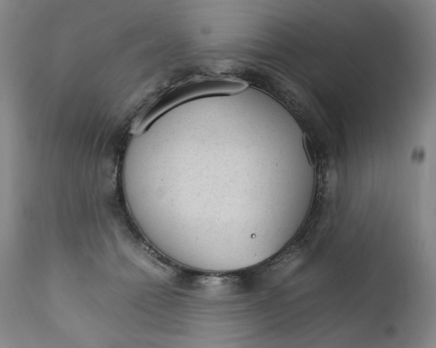 X0000111230558200907231507