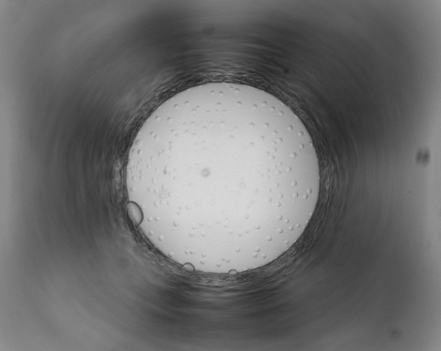 X0000111230559200907231507